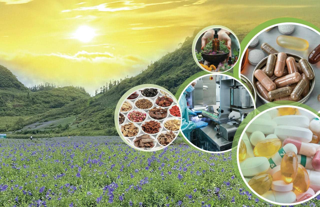 Phòng sạch trong bảo quản nguyên liệu