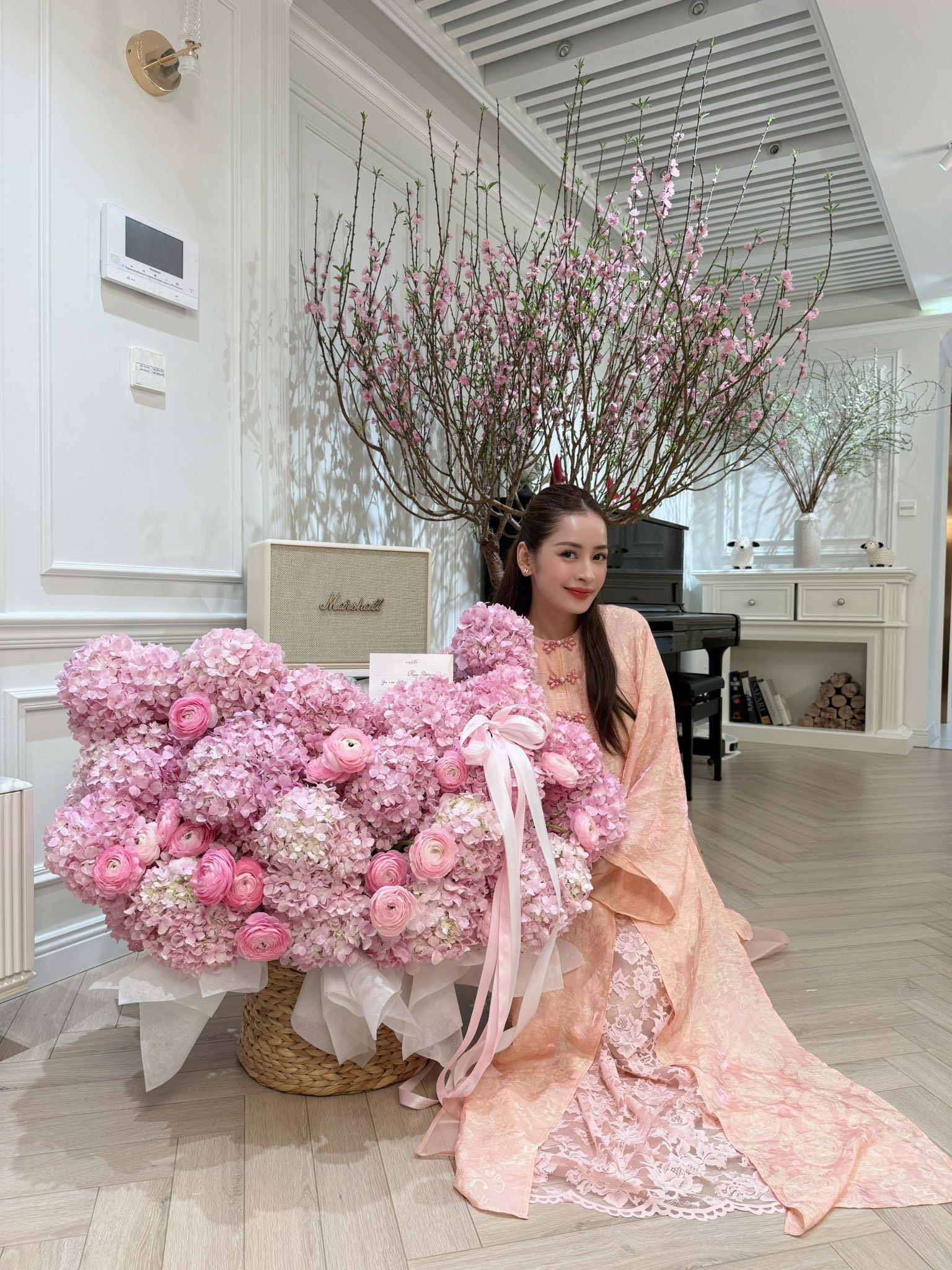 Chi Pu khoe nhà đón Tết nhưng netizen lại nhìn cái khác - Thiết bị phòng sạch trong khu đóng nang