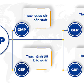 Hồ sơ thẩm định phòng sạch dược phẩm theo GMP
