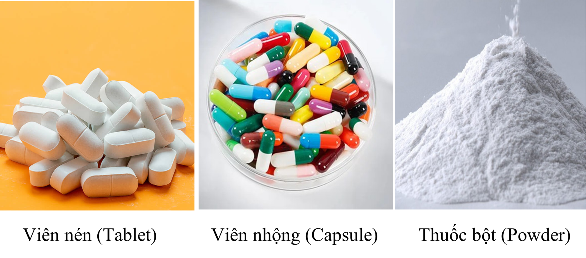 phòng sạch thuốc dạng bột